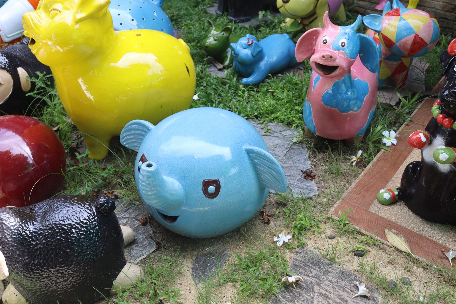 Asst animals — photo 4