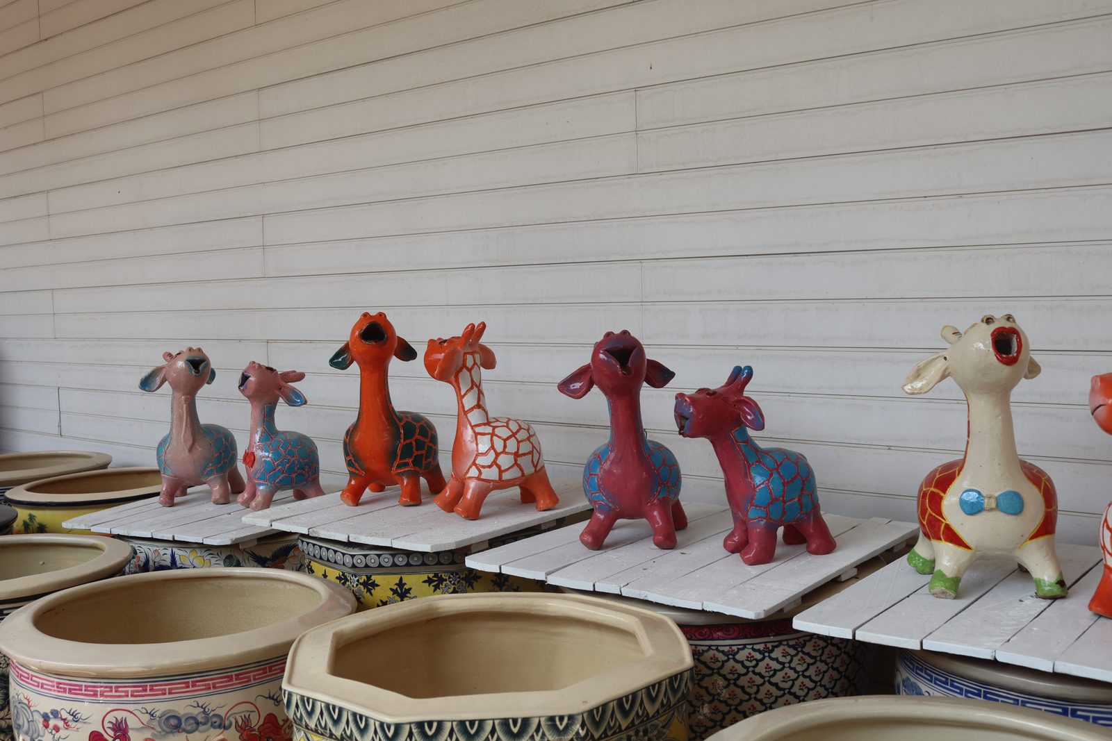 Asst animals — photo 3