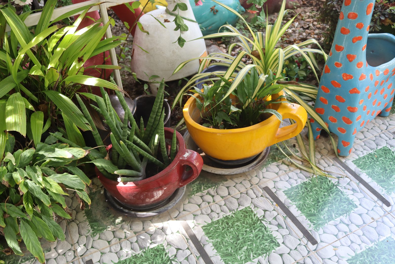 Tea Cup planters — photo 3